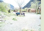 Portage BC News - Tree planting Portage BC News - Tree planting